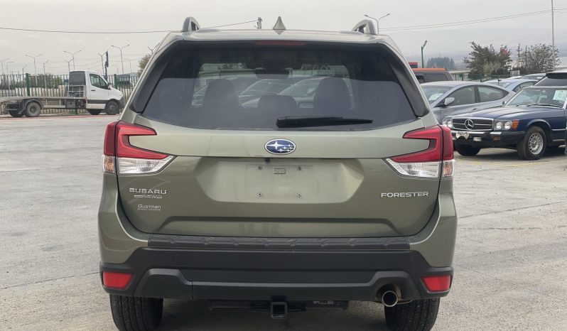 
								Subaru Forester full									