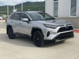 Toyota rav-4