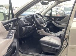 
										Subaru Forester full									