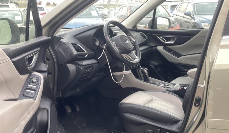
								Subaru Forester full									