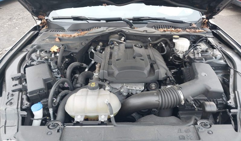 
								FORD MUSTANG full									