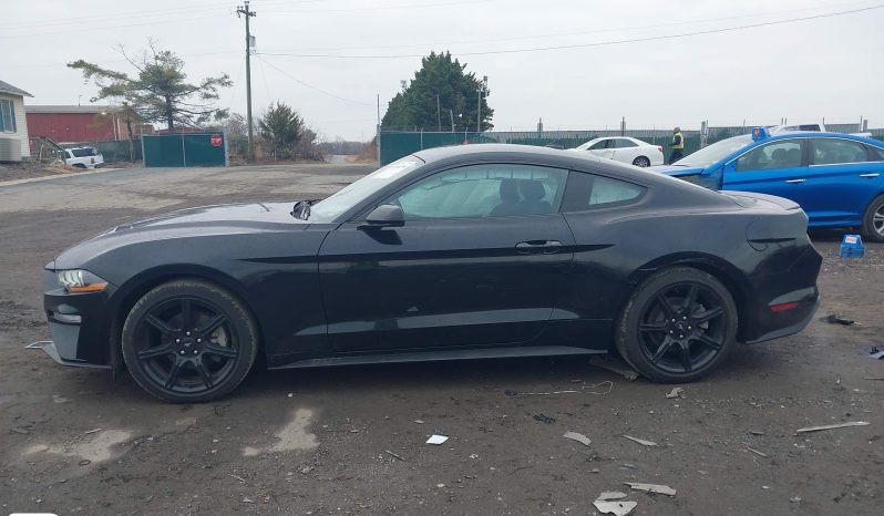 
								FORD MUSTANG full									
