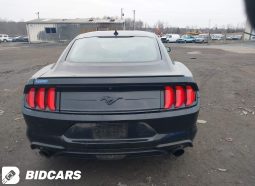 
										FORD MUSTANG full									