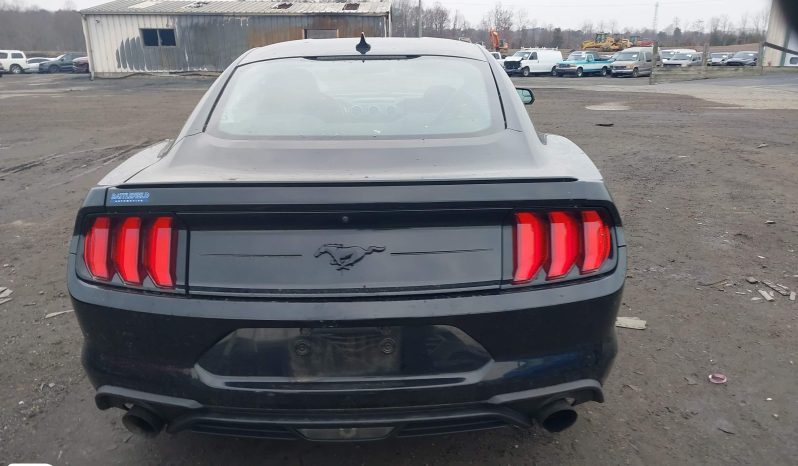 
								FORD MUSTANG full									