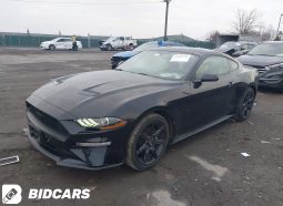 FORD MUSTANG
