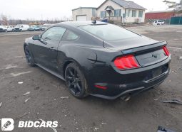 FORD MUSTANG
