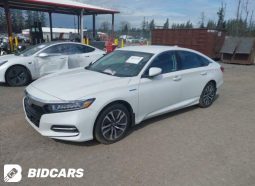 
										HONDA ACCORD full									