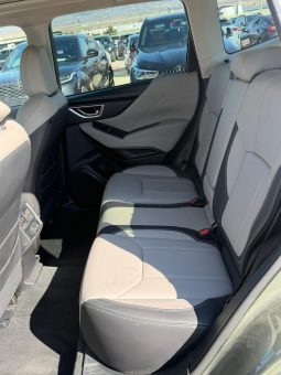 
										Subaru Forester full									