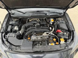 
										SUBARU CROSSTRECK full									