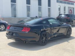 
										FORD MUSTANG full									