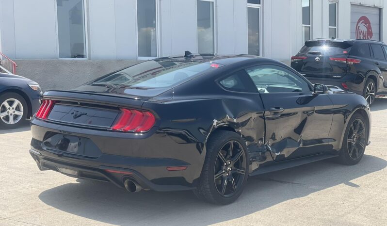 
								FORD MUSTANG full									