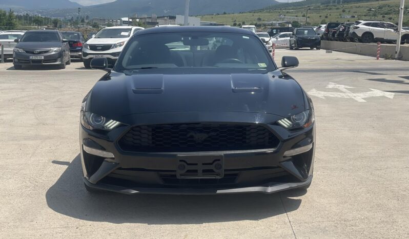 
								FORD MUSTANG full									