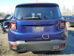 
										jeep renegade full									