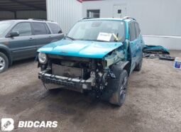 
										JEEP RENEGADE full									