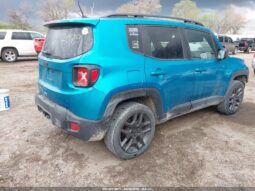 
										JEEP RENEGADE full									