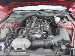 
										FORD MUSTANG full									