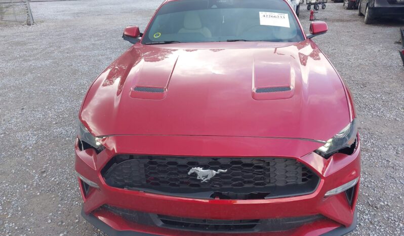 
								FORD MUSTANG full									
