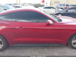 
										FORD MUSTANG full									