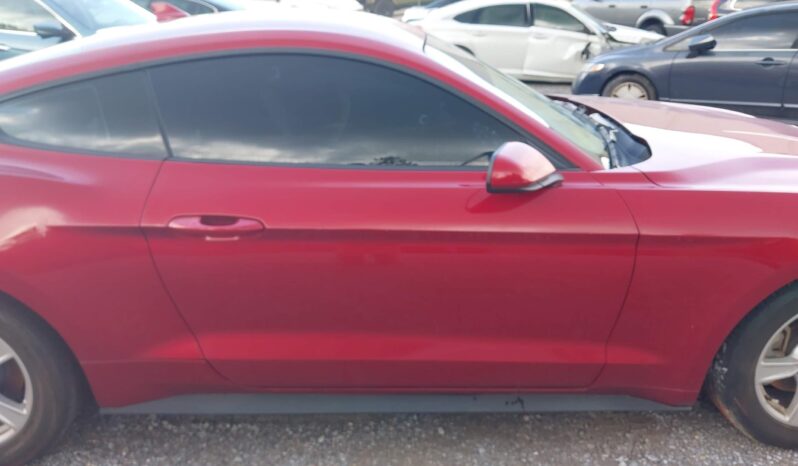 
								FORD MUSTANG full									
