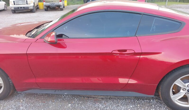 
								FORD MUSTANG full									