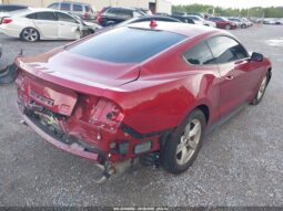 
										FORD MUSTANG full									