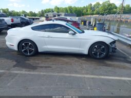 
										Ford Mustang full									