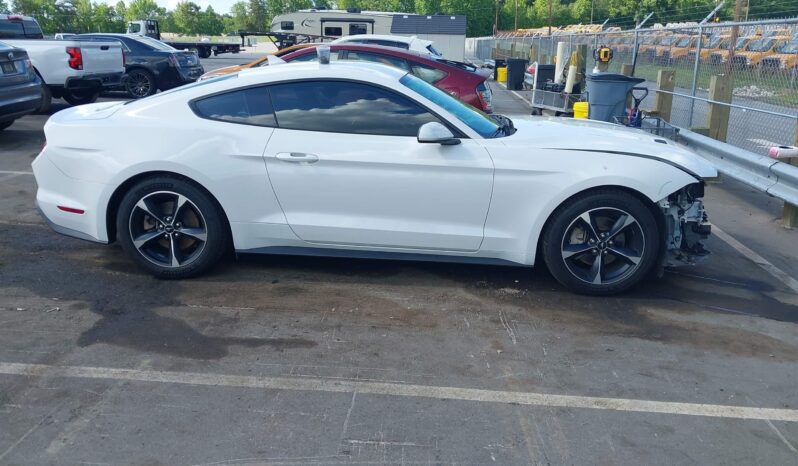 
								Ford Mustang full									