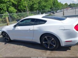 
										Ford Mustang full									