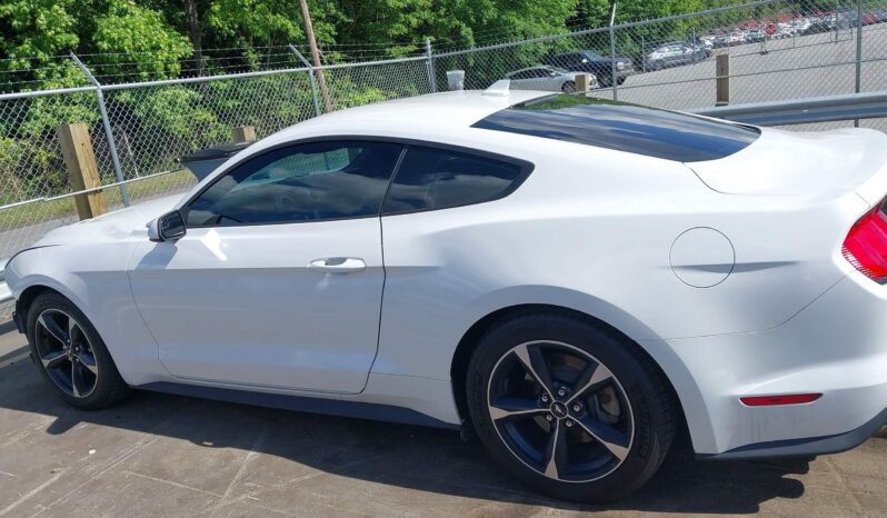 
								Ford Mustang full									