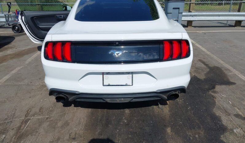 
								Ford Mustang full									