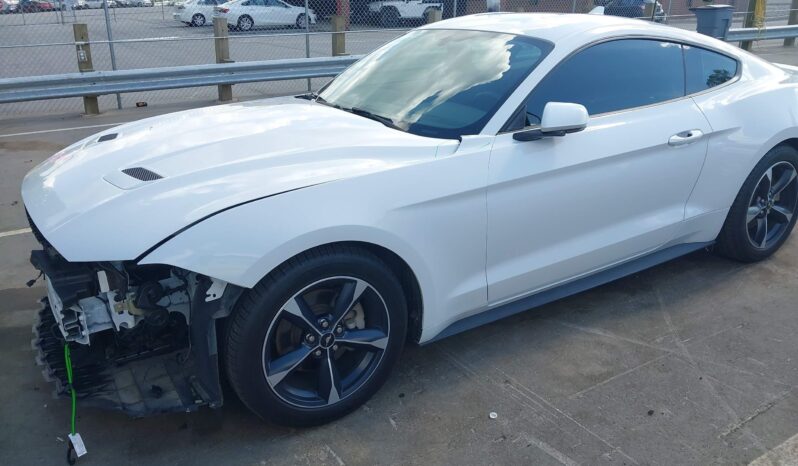 
								Ford Mustang full									