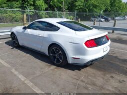 
										Ford Mustang full									