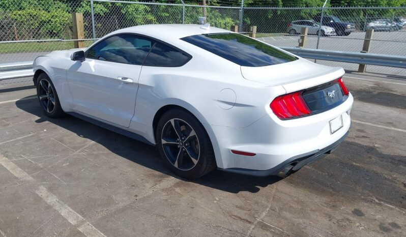
								Ford Mustang full									