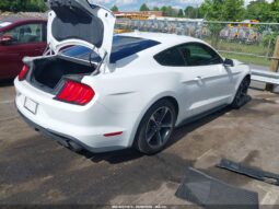 
										Ford Mustang full									