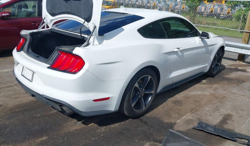 
								Ford Mustang full									