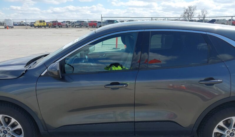 
								Ford Escape full									