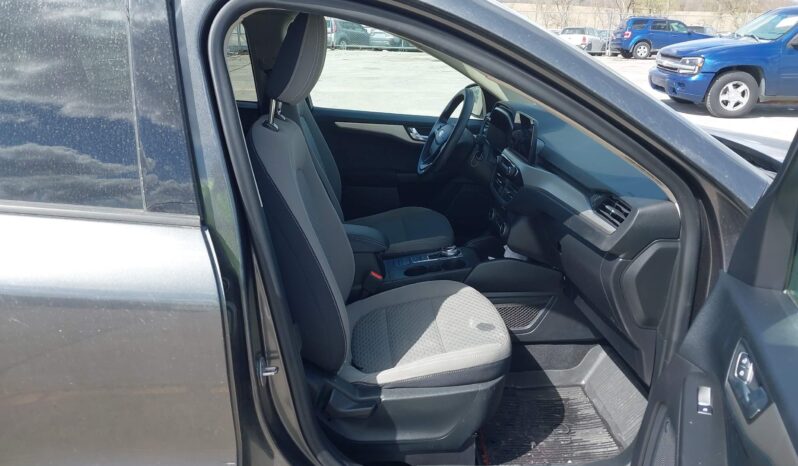 
								Ford Escape full									