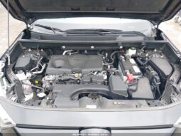 
										Toyota RAV4 Xle full									