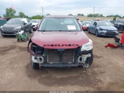 
										SUBARU FORESTER full									