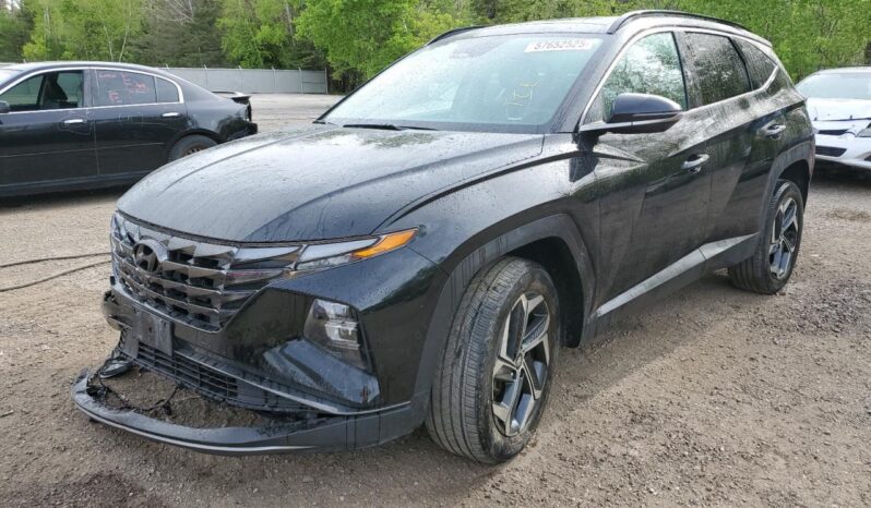 
								Hyundai Tucson Hybrid full									