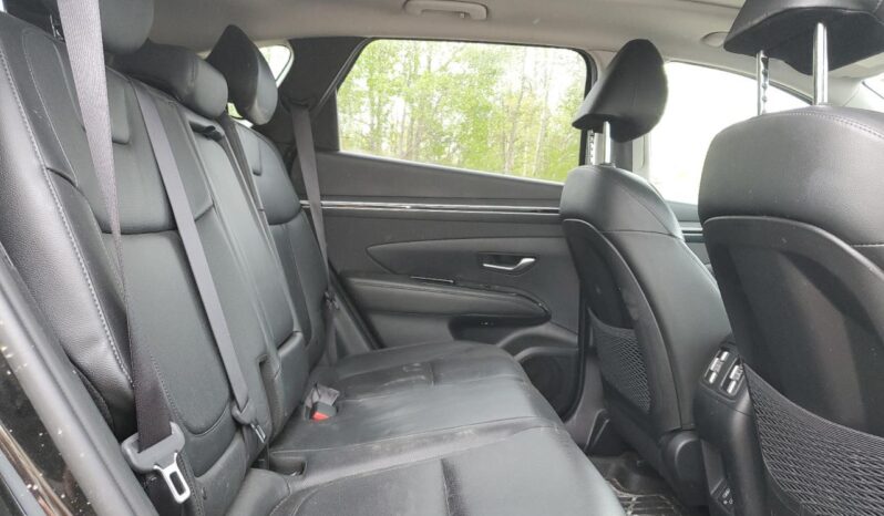 
								Hyundai Tucson Hybrid full									