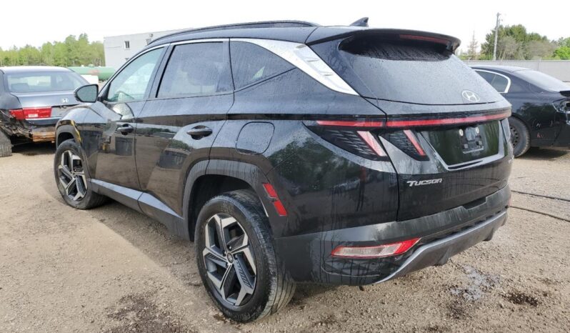 
								Hyundai Tucson Hybrid full									