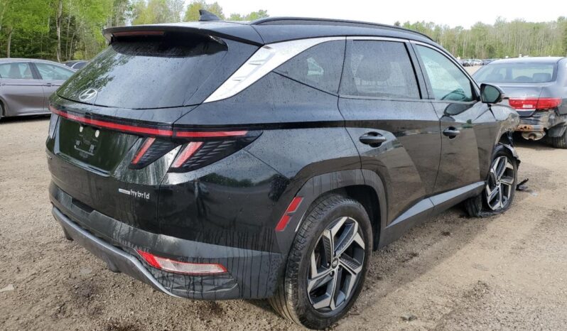 
								Hyundai Tucson Hybrid full									