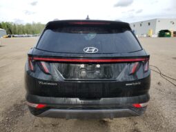 
										Hyundai Tucson Hybrid full									