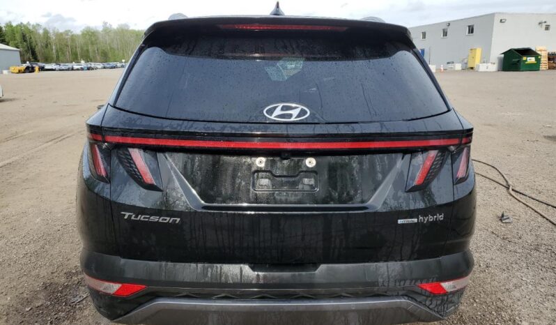 
								Hyundai Tucson Hybrid full									