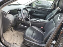 
										Hyundai Tucson Hybrid full									