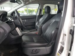 
										Land Rover Discovery full									