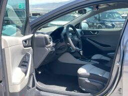 
										hyundai ioniq full									