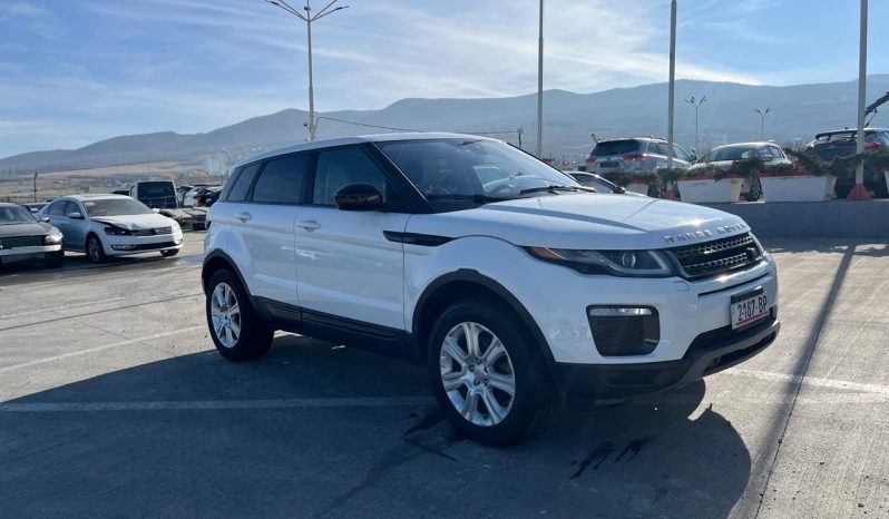 amerikis avtomobilebis auqcioni