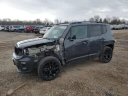
										JEEP RENEGADE full									